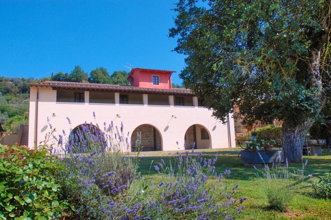 Agriturismo Lo Zolfino Penna 외부 사진